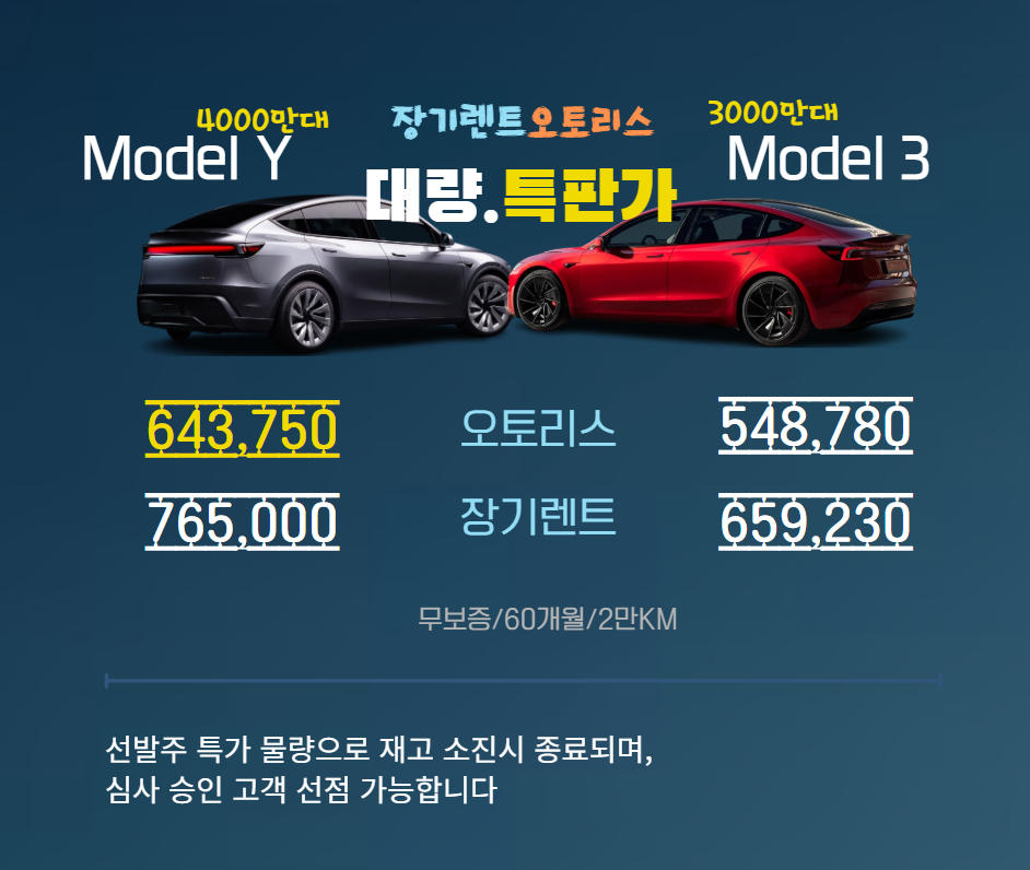 테슬라 특가
